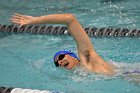 Swimming vs Bentley  Wheaton College Swimming vs Bentley. - Photo By: KEITH NORDSTROM : Wheaton, Swimming, Bentley